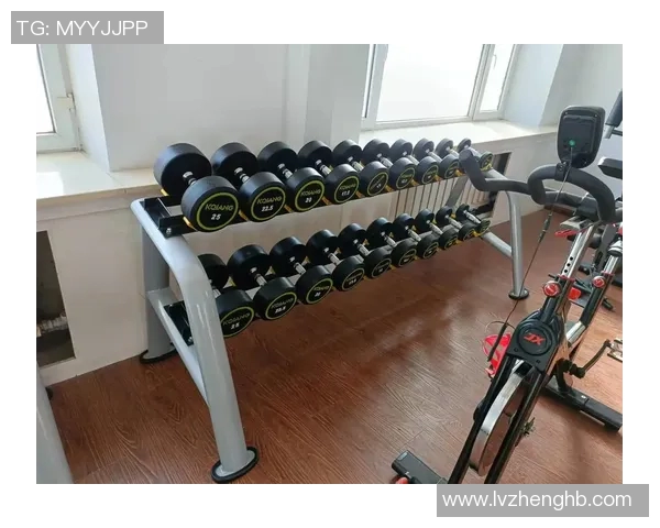探索体育健身器材的多样选择与健康生活方式的完美结合