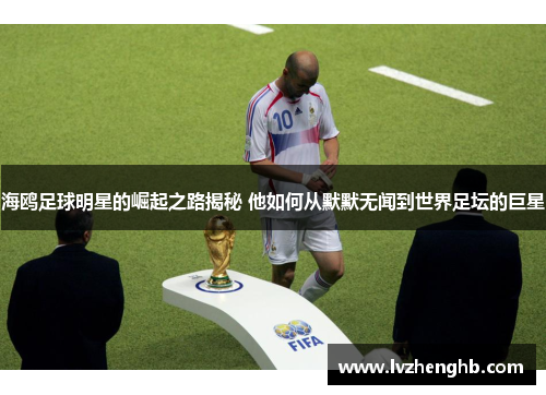 海鸥足球明星的崛起之路揭秘 他如何从默默无闻到世界足坛的巨星