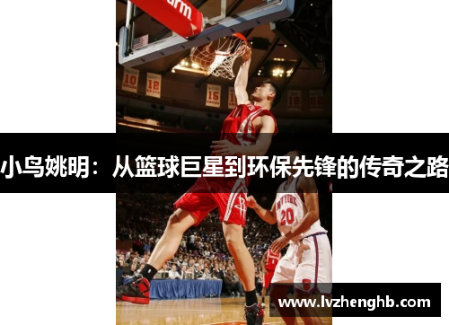 小鸟姚明：从篮球巨星到环保先锋的传奇之路